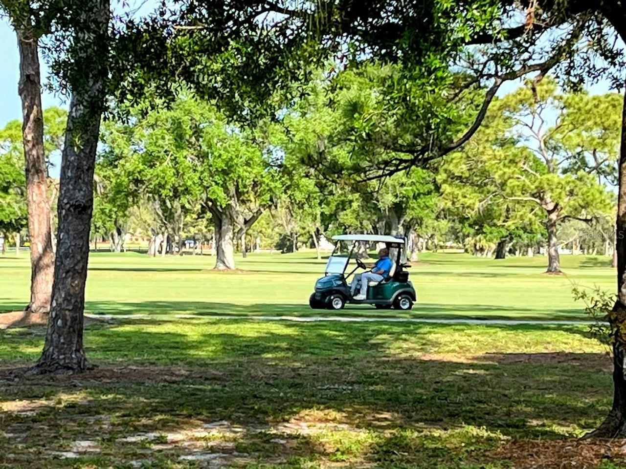 Image 25 of 27 For 703 Whitfield Avenue