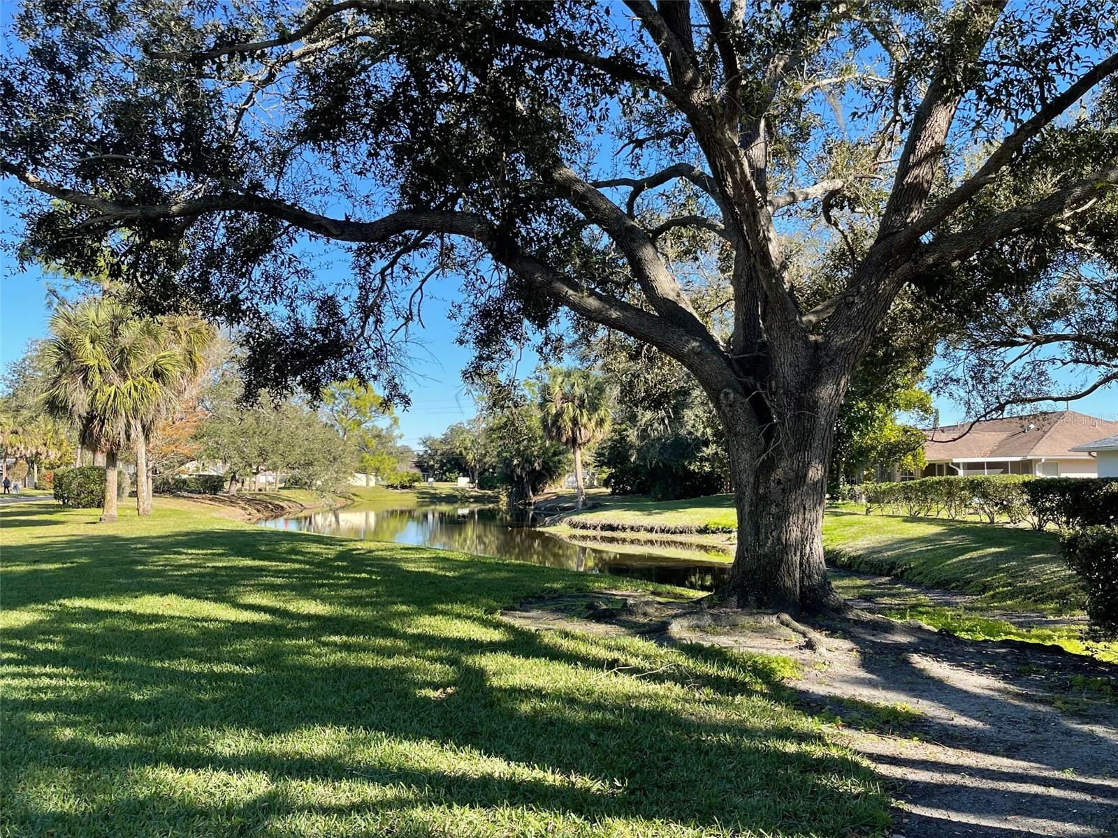 Image 32 of 37 For 3109 57th Avenue Circle E