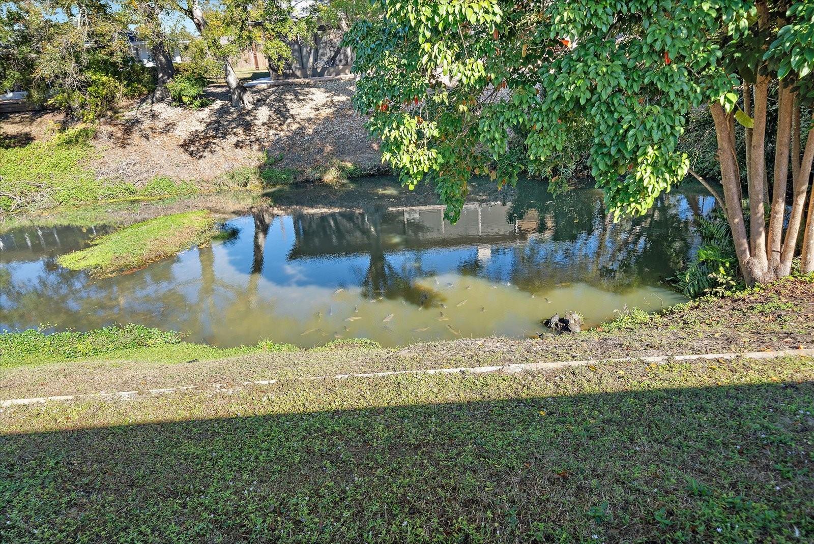 Image 47 of 61 For 3149 Homasassa Road