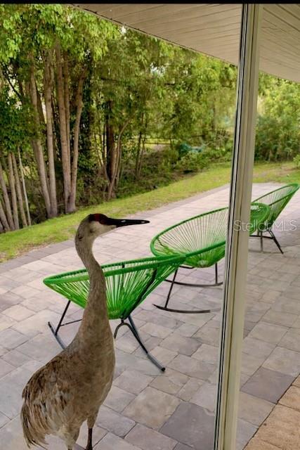 Image 49 of 61 For 3149 Homasassa Road