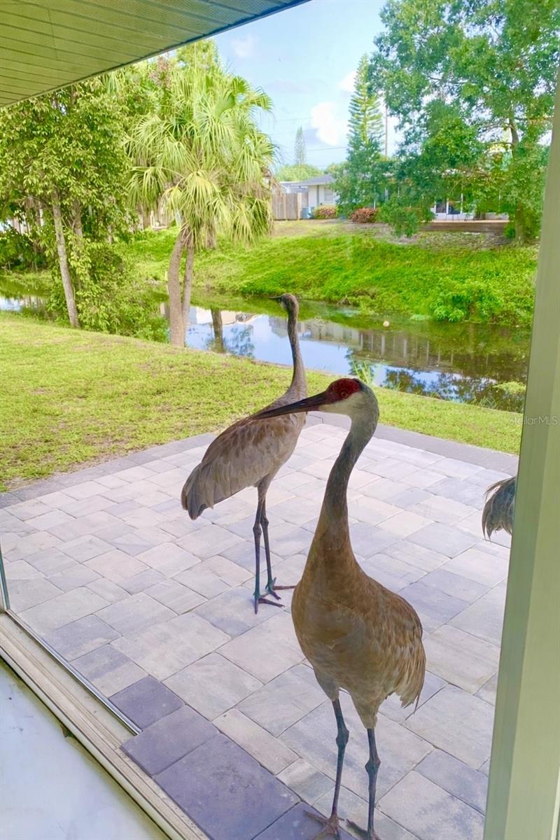 Image 50 of 61 For 3149 Homasassa Road