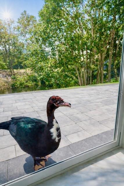 Image 52 of 61 For 3149 Homasassa Road