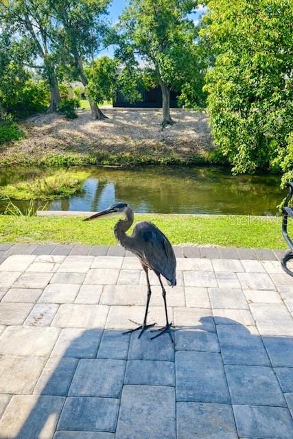 Image 57 of 61 For 3149 Homasassa Road