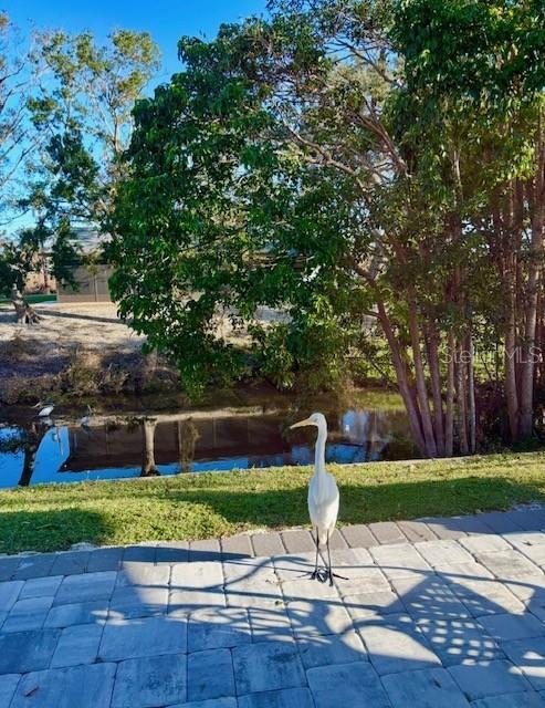 Image 58 of 61 For 3149 Homasassa Road