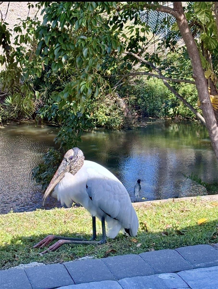 Image 59 of 61 For 3149 Homasassa Road