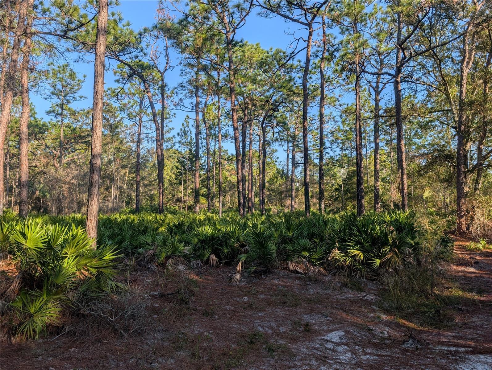 Image 7 of 9 For Rosedale Drive