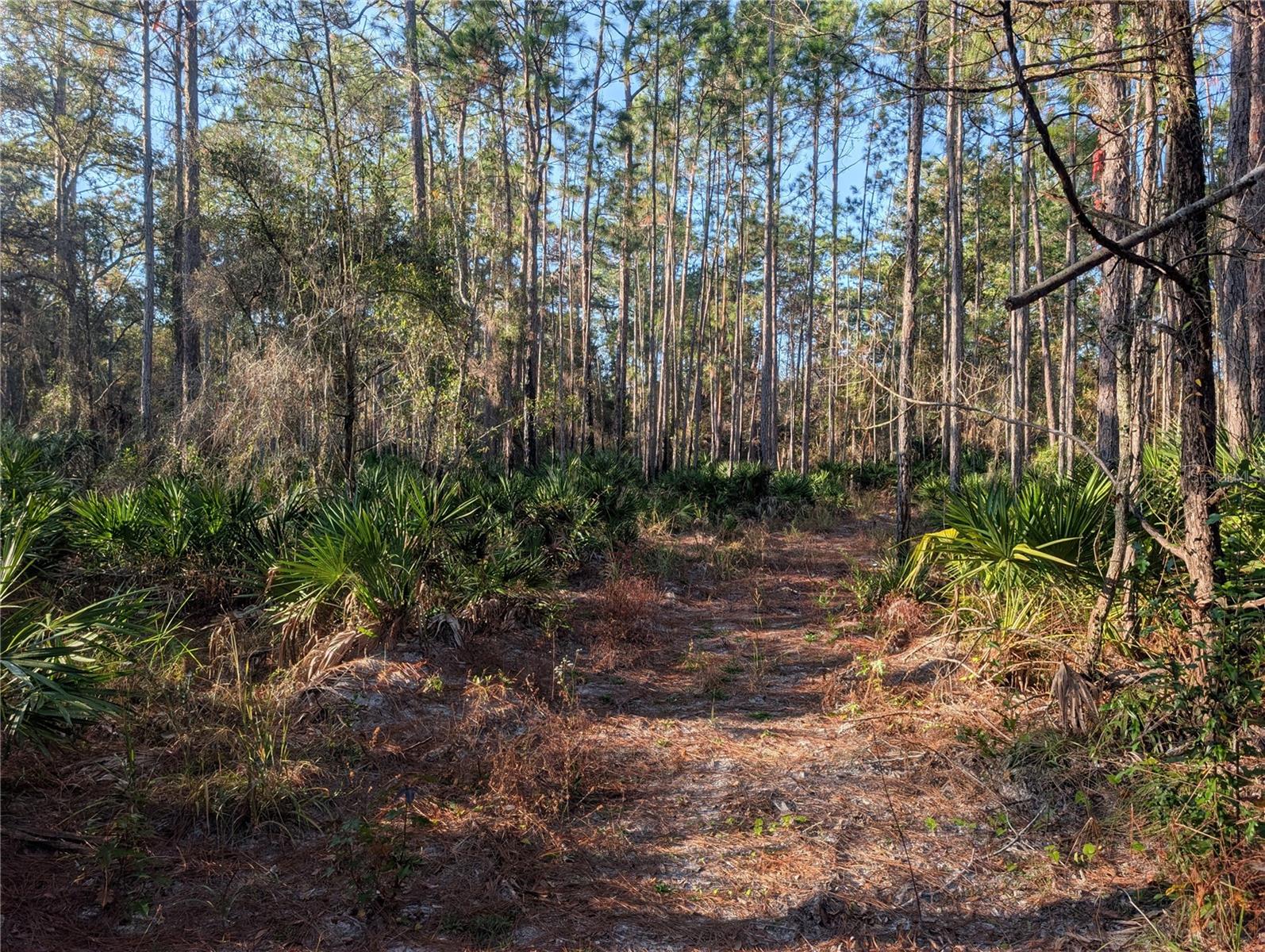 Image 6 of 10 For Rosedale Drive