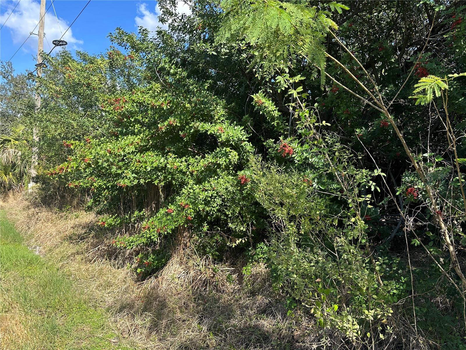 Image 4 of 6 For 1460 Westover Street