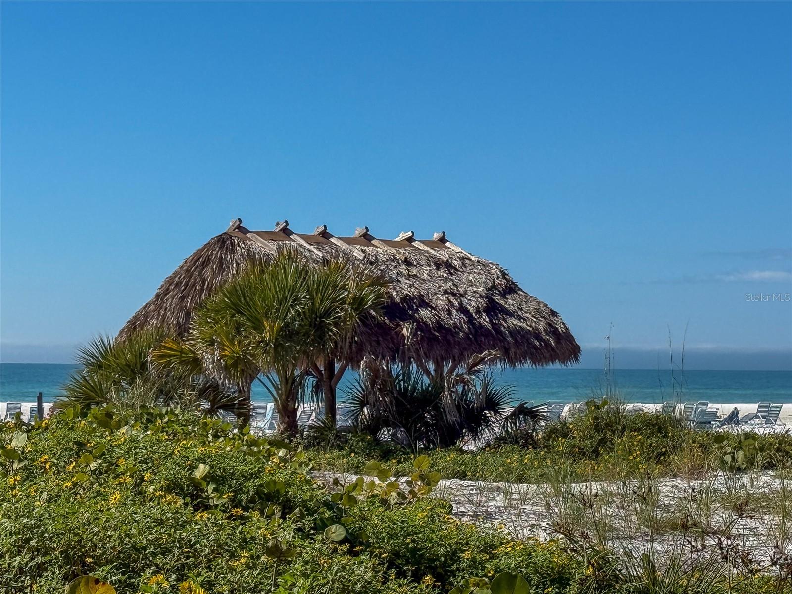 Image 45 of 48 For 1055 Peppertree Drive 102aa