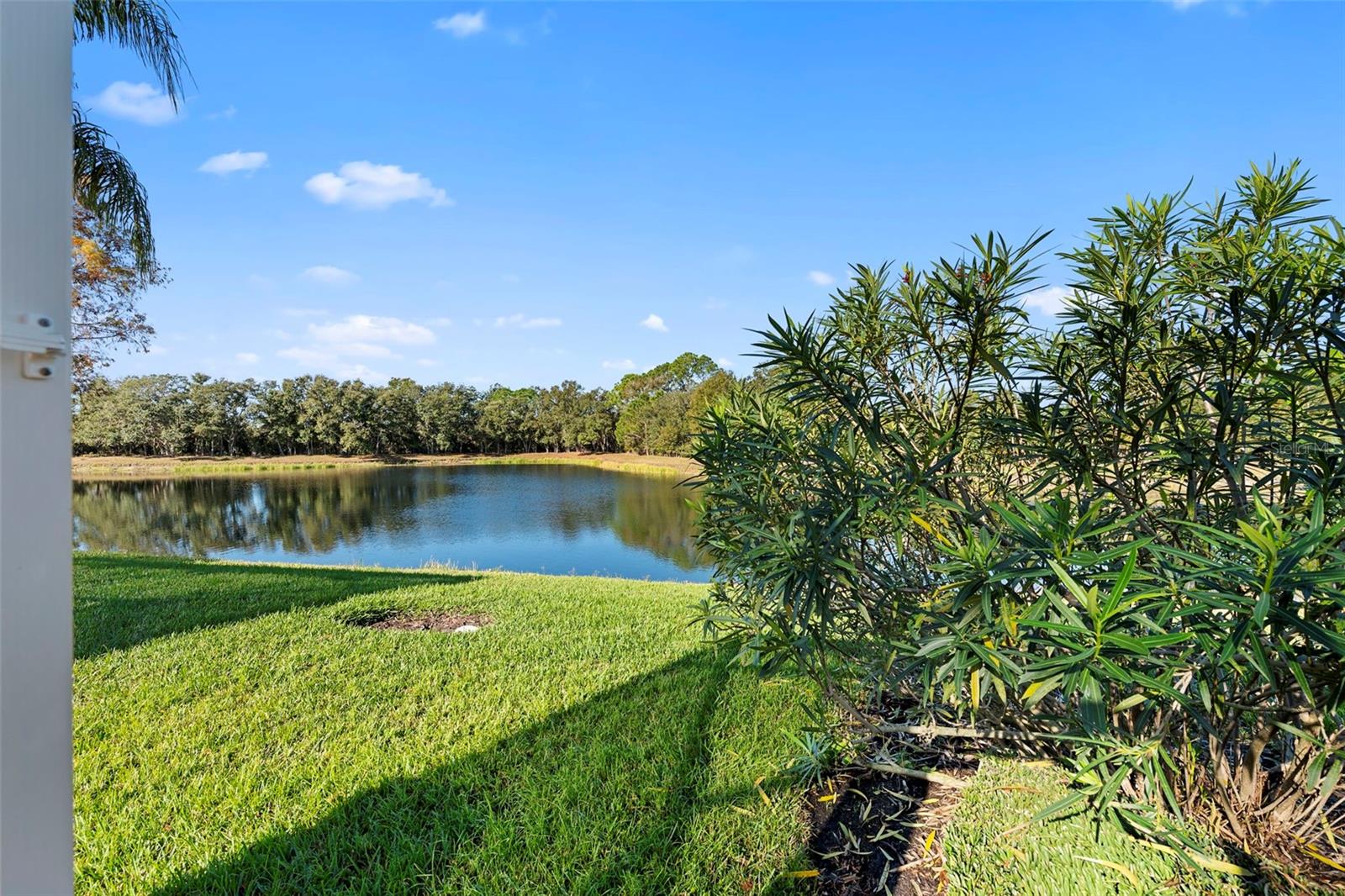 Image 25 of 64 For 7662 Uliva Way