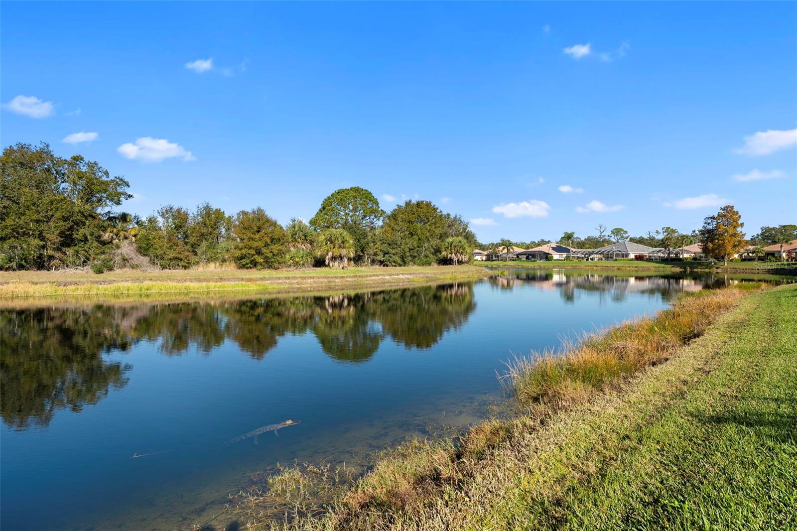 Image 26 of 64 For 7662 Uliva Way