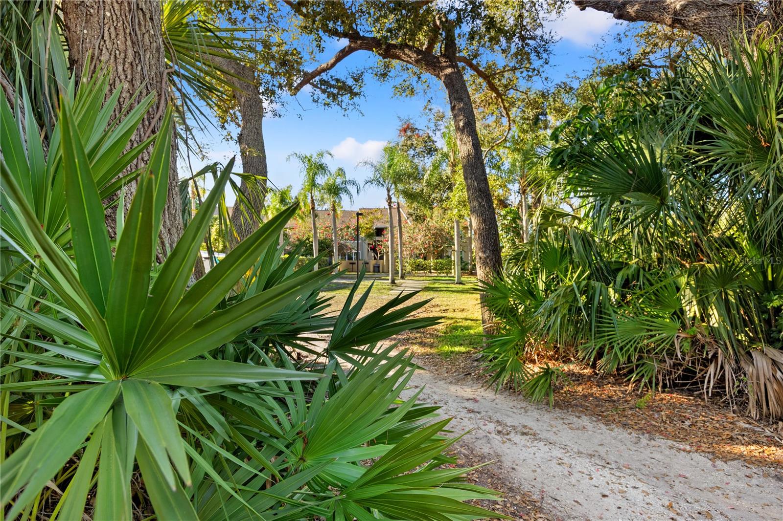 Image 31 of 31 For 4008 Crockers Lake Boulevard 23