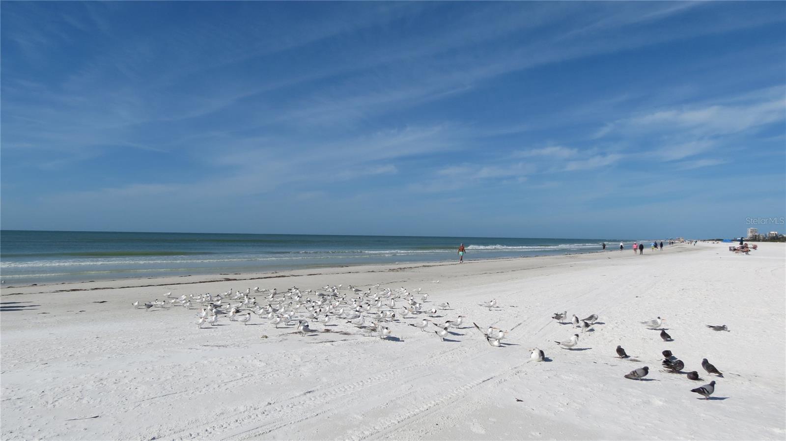 Image 35 of 56 For 6005 Midnight Pass Road N4