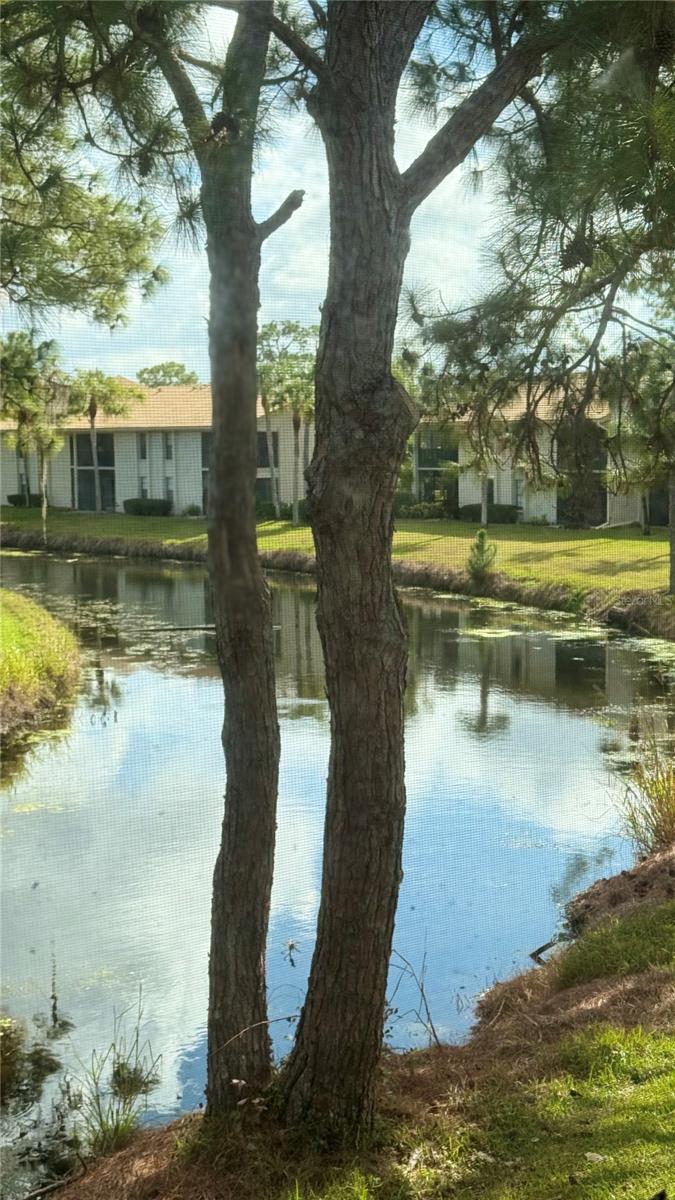 Image 6 of 16 For 4640 Weybridge  12