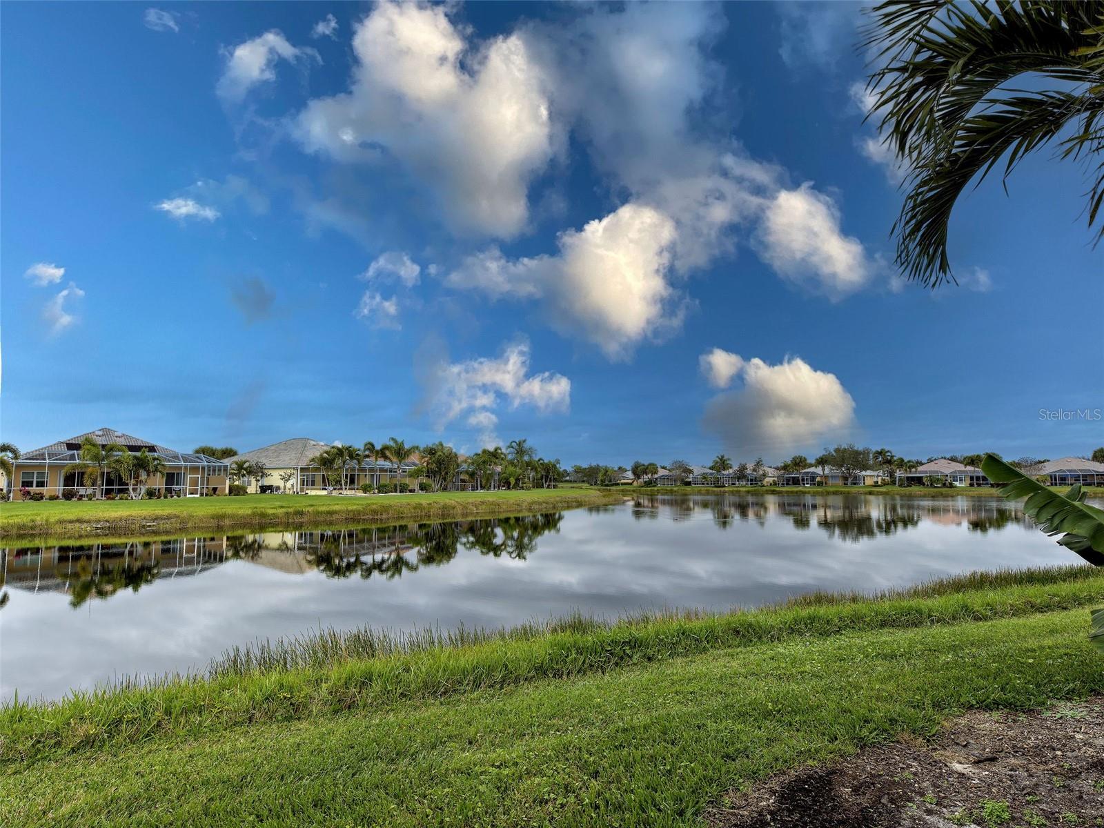 Image 37 of 70 For 13424 Coluccio Street