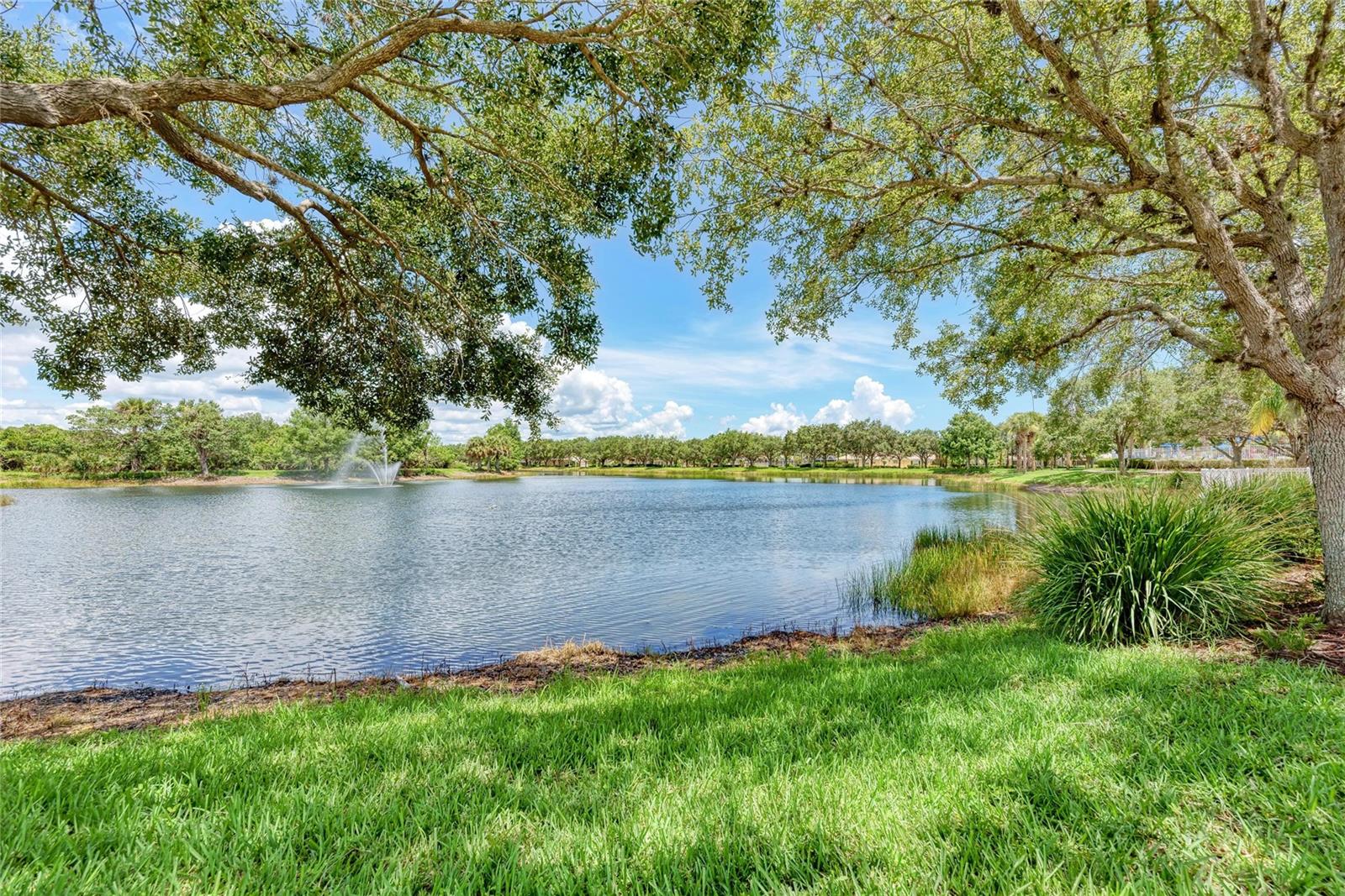 Image 66 of 83 For 7924 Farina Court