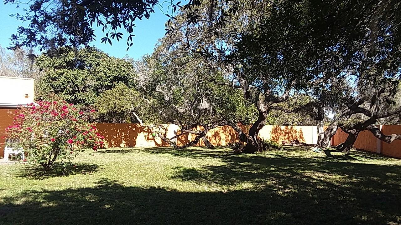 Image 3 of 21 For 322 Buena Vista Avenue