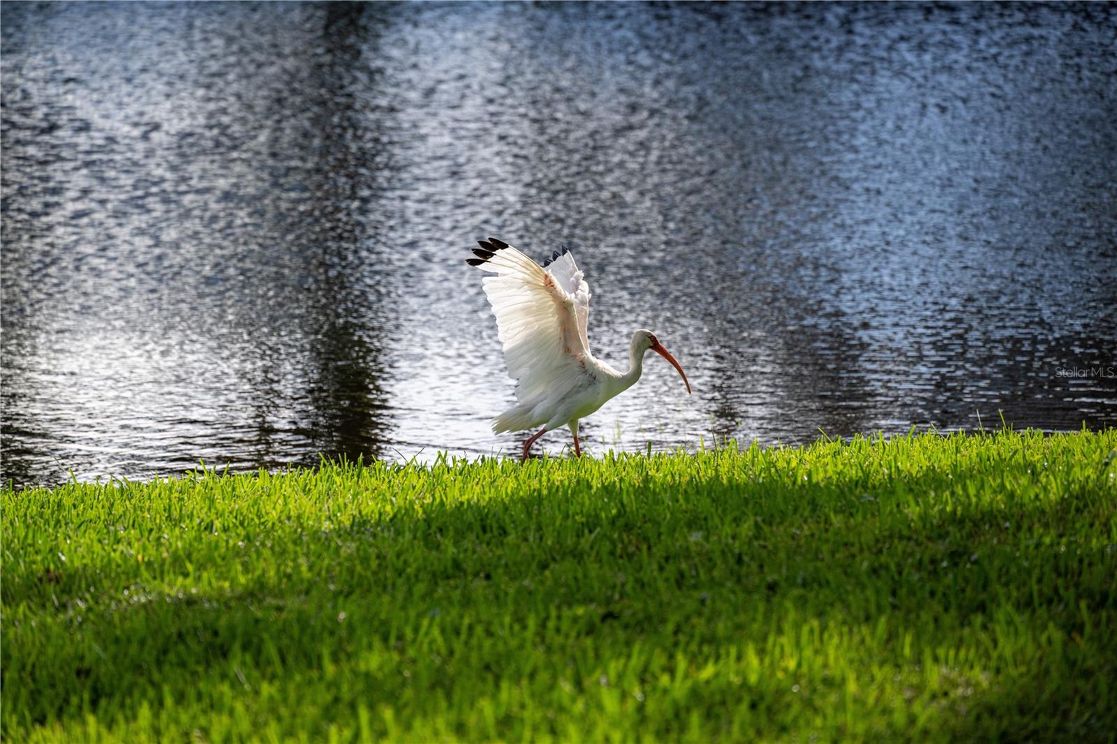 Image 41 of 48 For 5240 Hyland Hills Avenue 1424