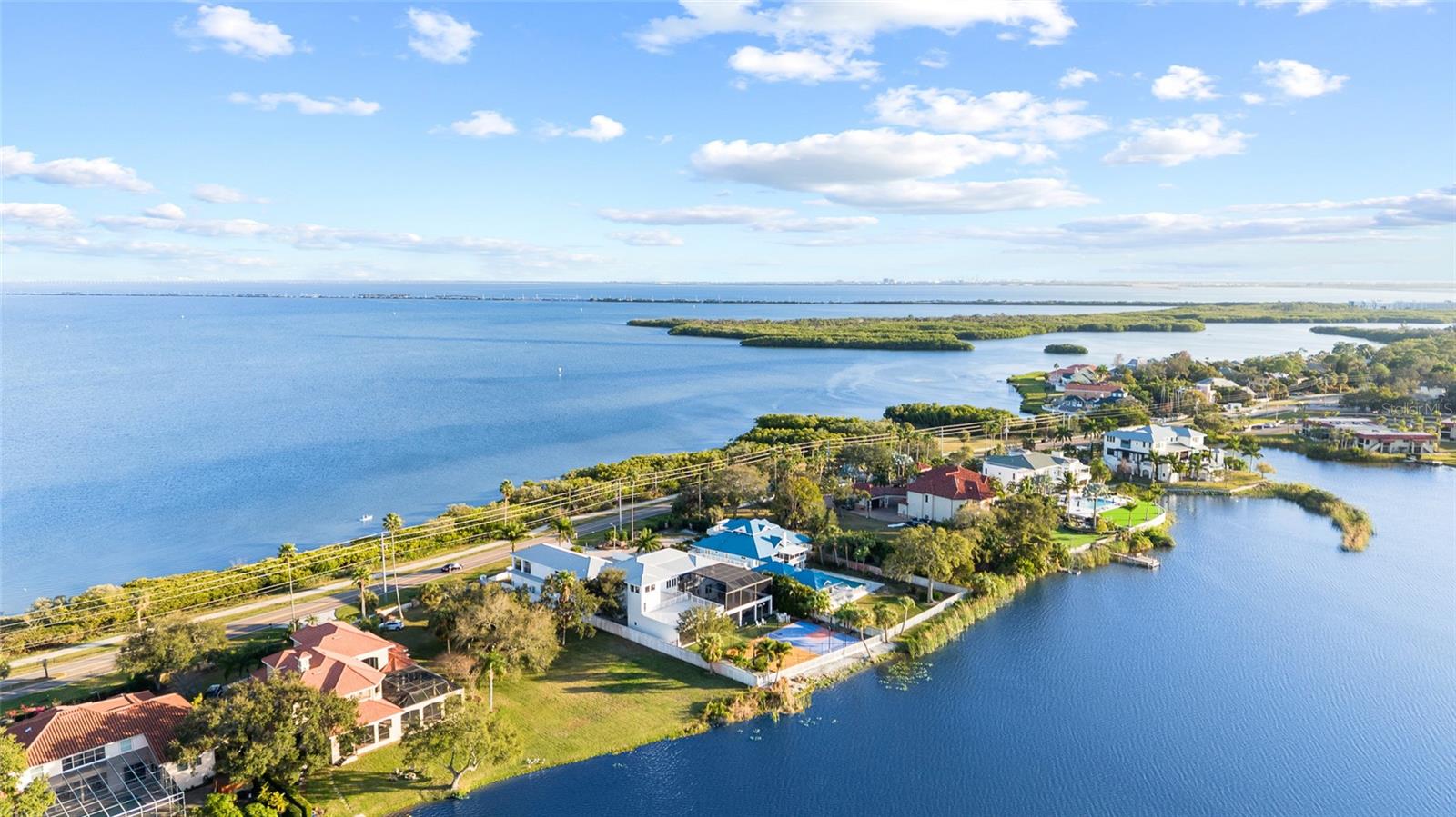 Image 4 of 97 For 951 Bayshore Boulevard