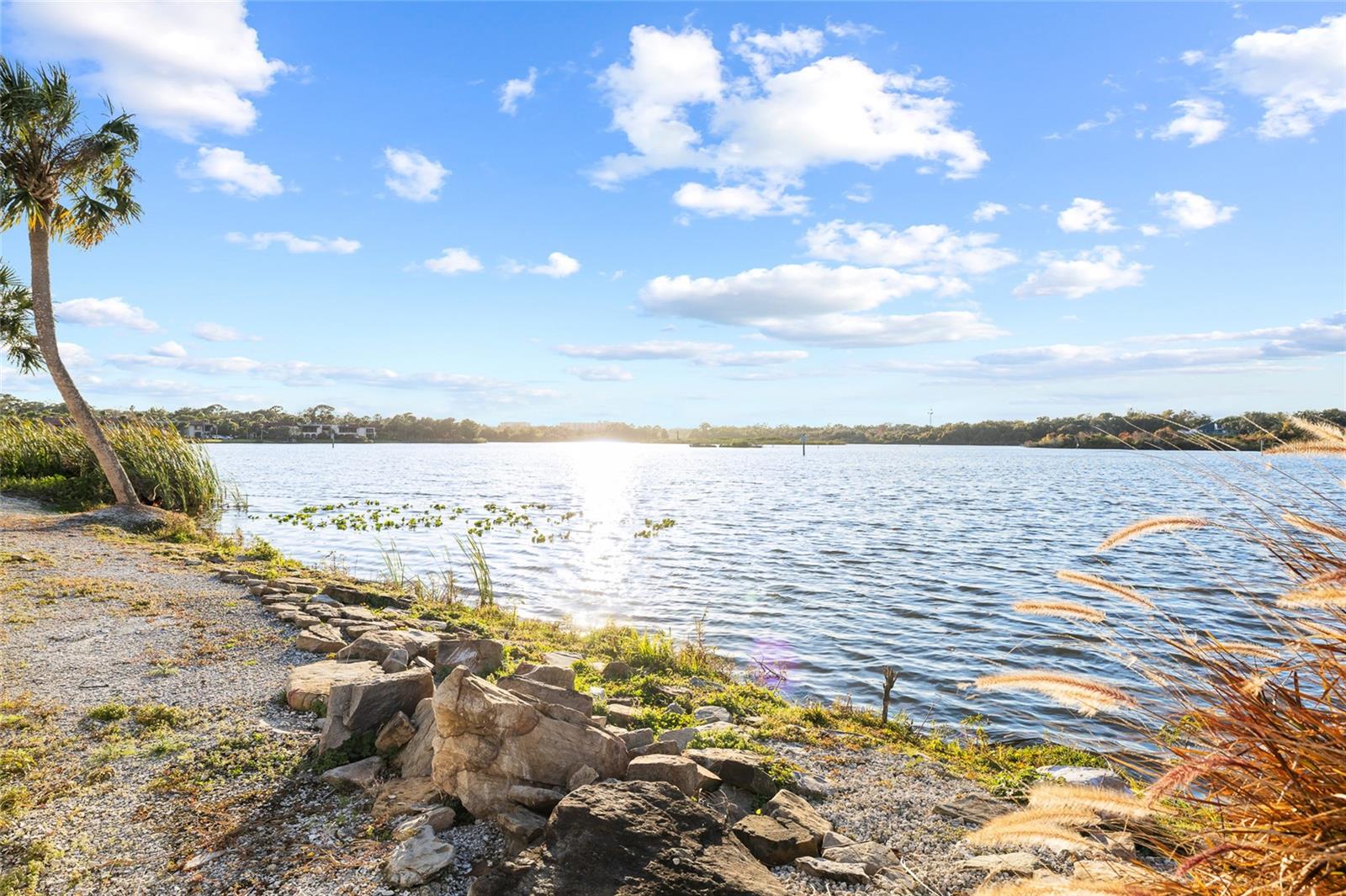 Image 48 of 97 For 951 Bayshore Boulevard