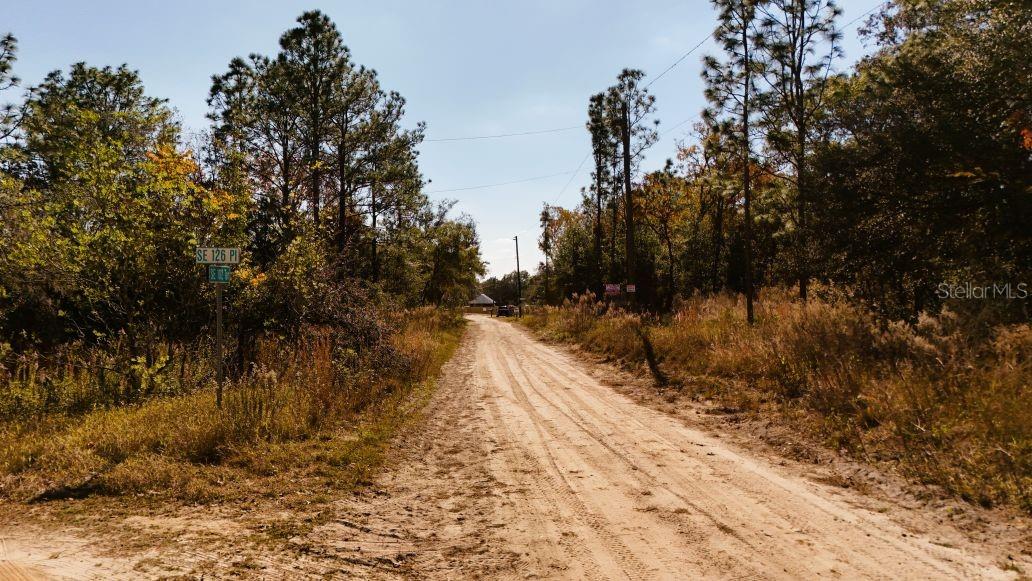 Image 16 of 17 For Lot 55 102nd Terrace