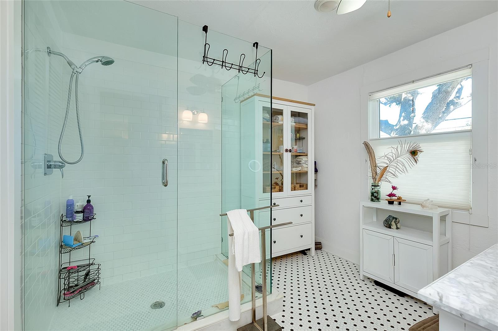 Listing photo id 33 for 223 Palmetto Road W