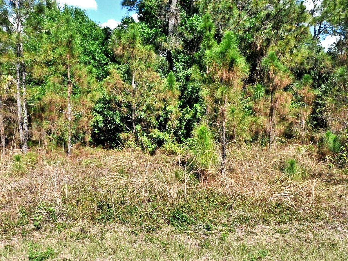 Listing Details for  Bignay Road , NORTH PORT, FL 34288