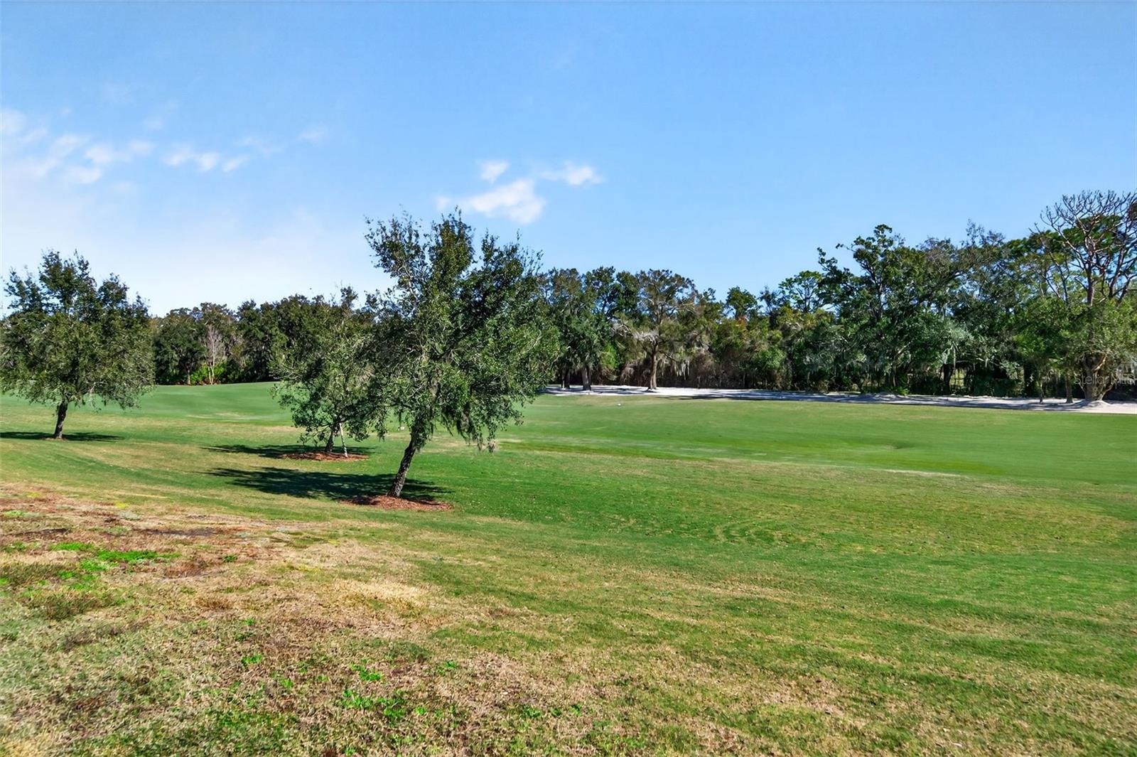 Image 41 of 81 For 13822 Messina Loop 103