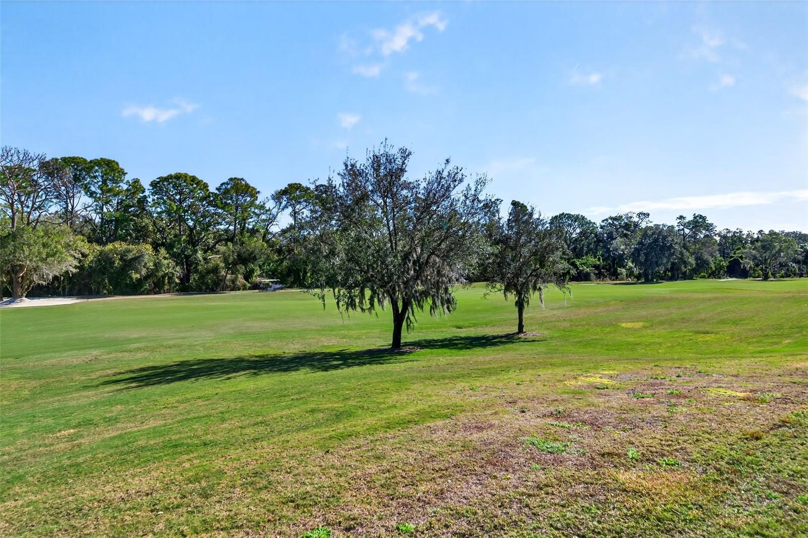 Image 42 of 81 For 13822 Messina Loop 103