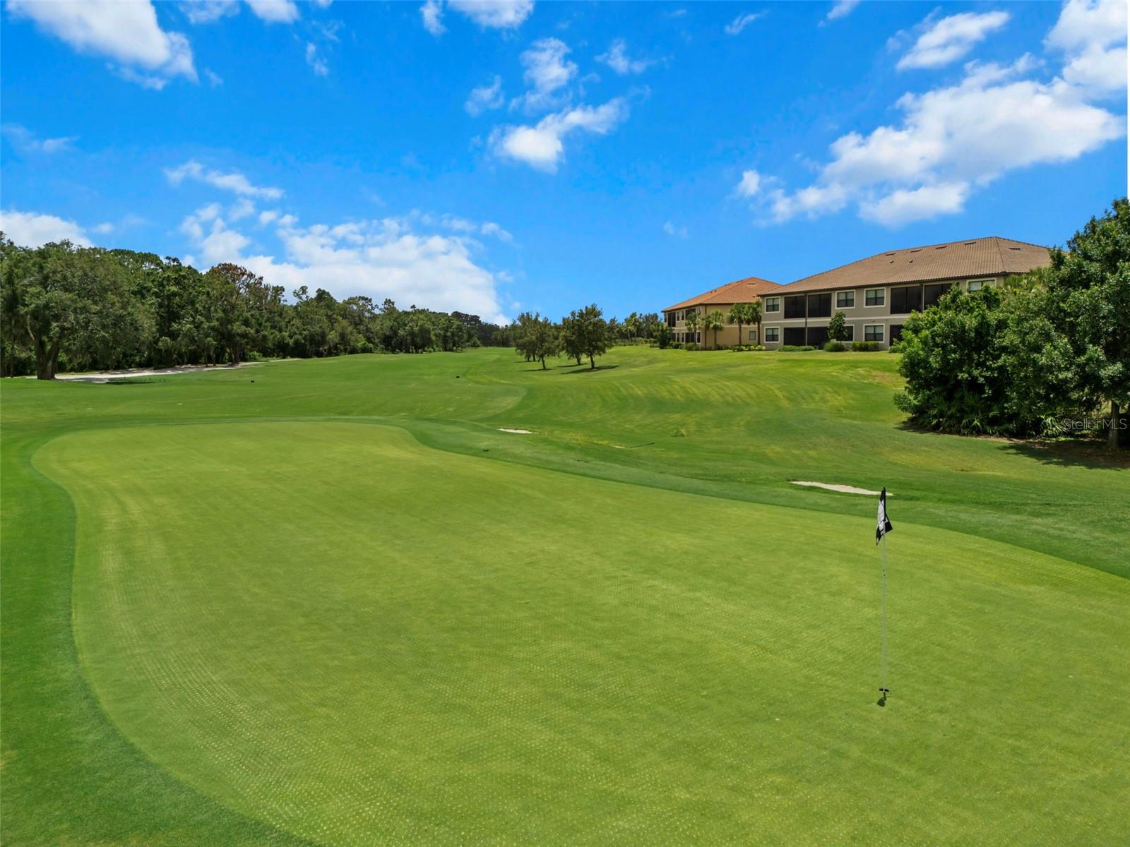 Image 55 of 81 For 13822 Messina Loop 103