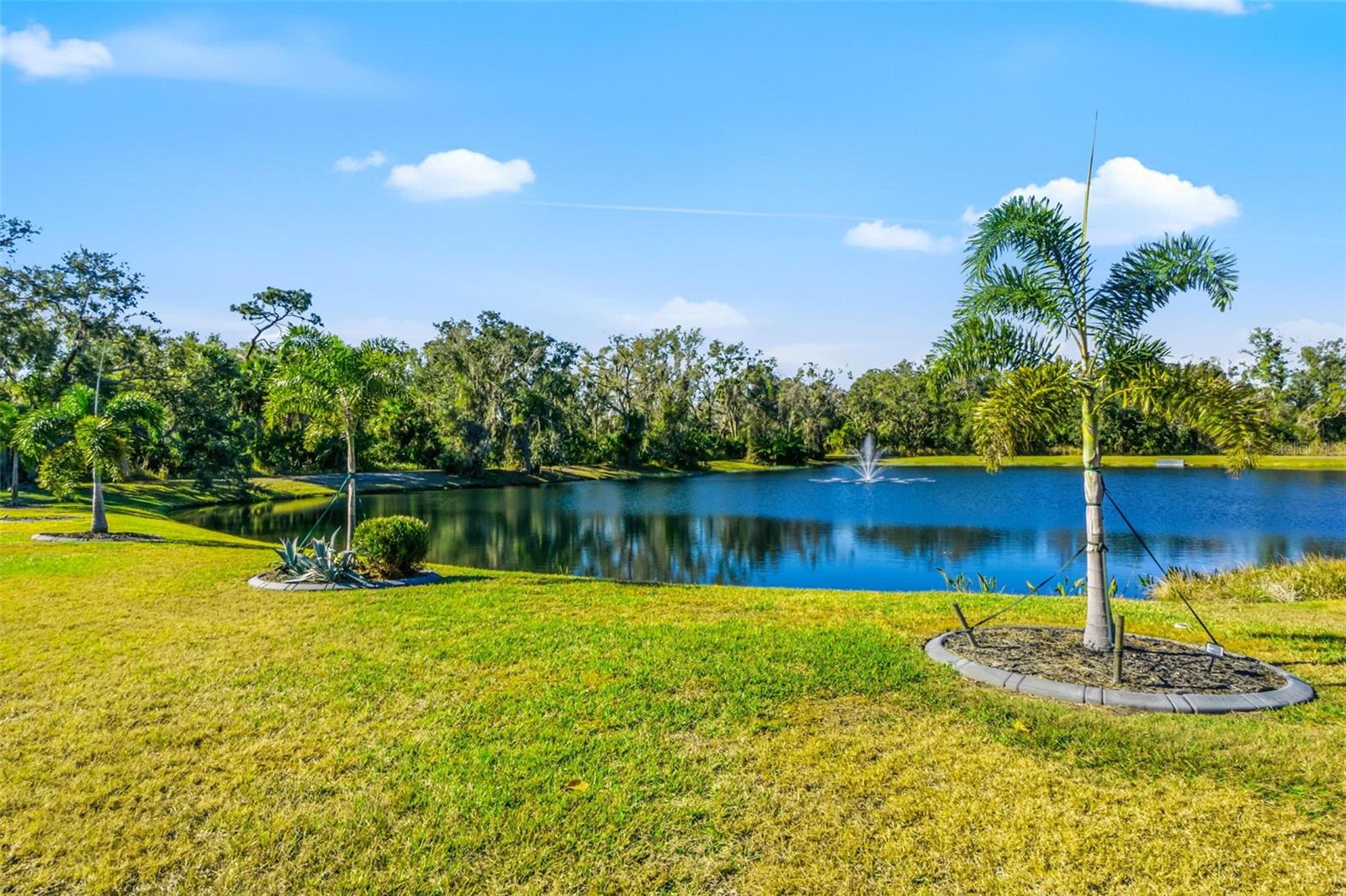 Image 39 of 49 For 14204 11th Terrace Ne