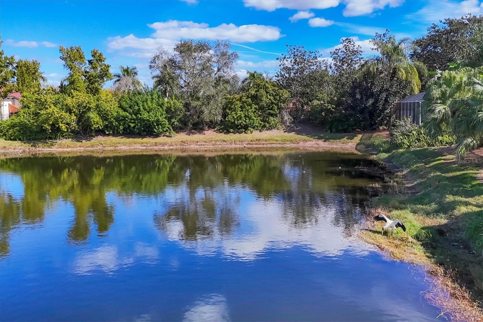 Image 69 of 97 For 7331 Saint Georges Way