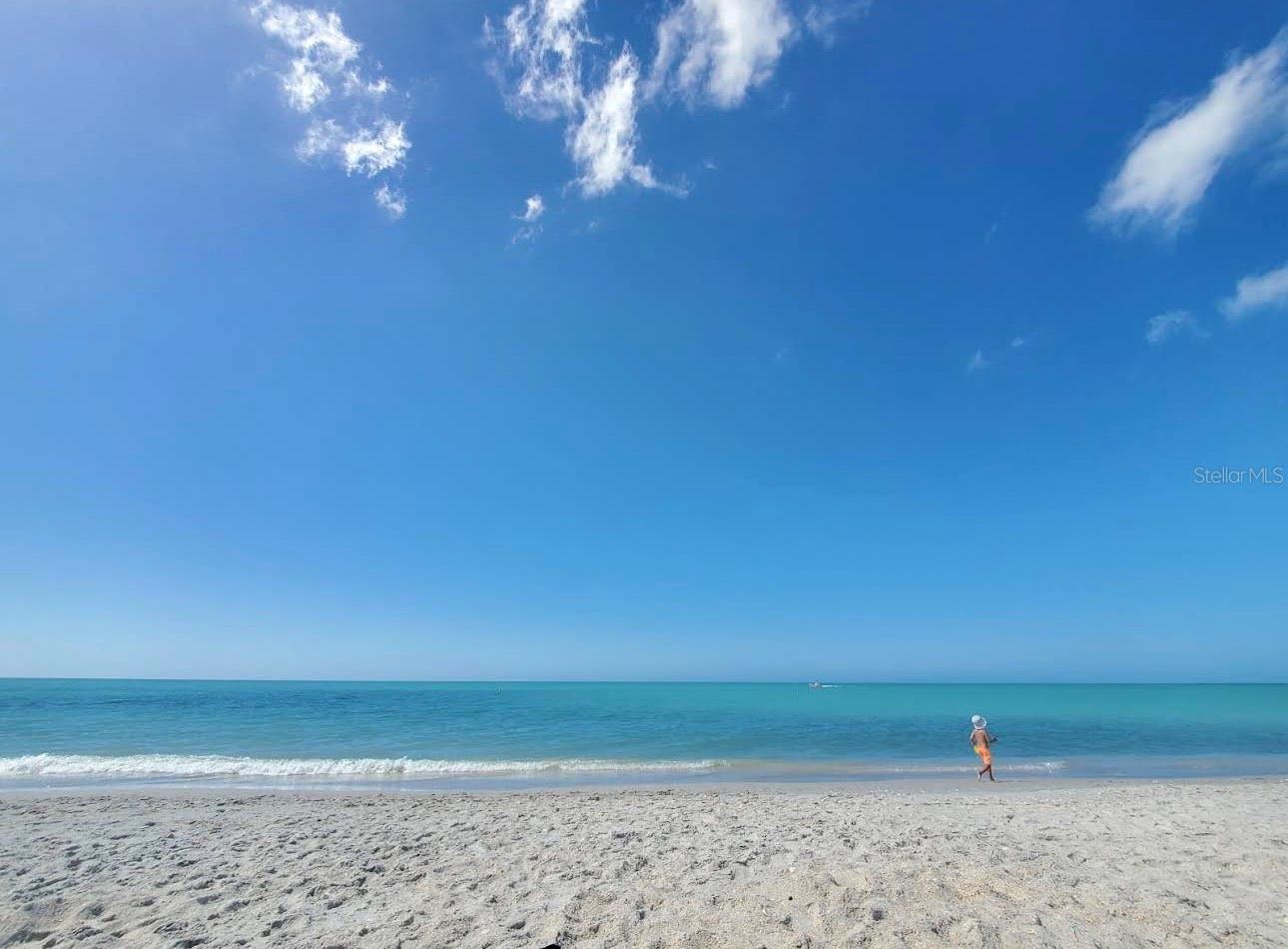 Image 19 of 24 For 5876 Biscotti Street