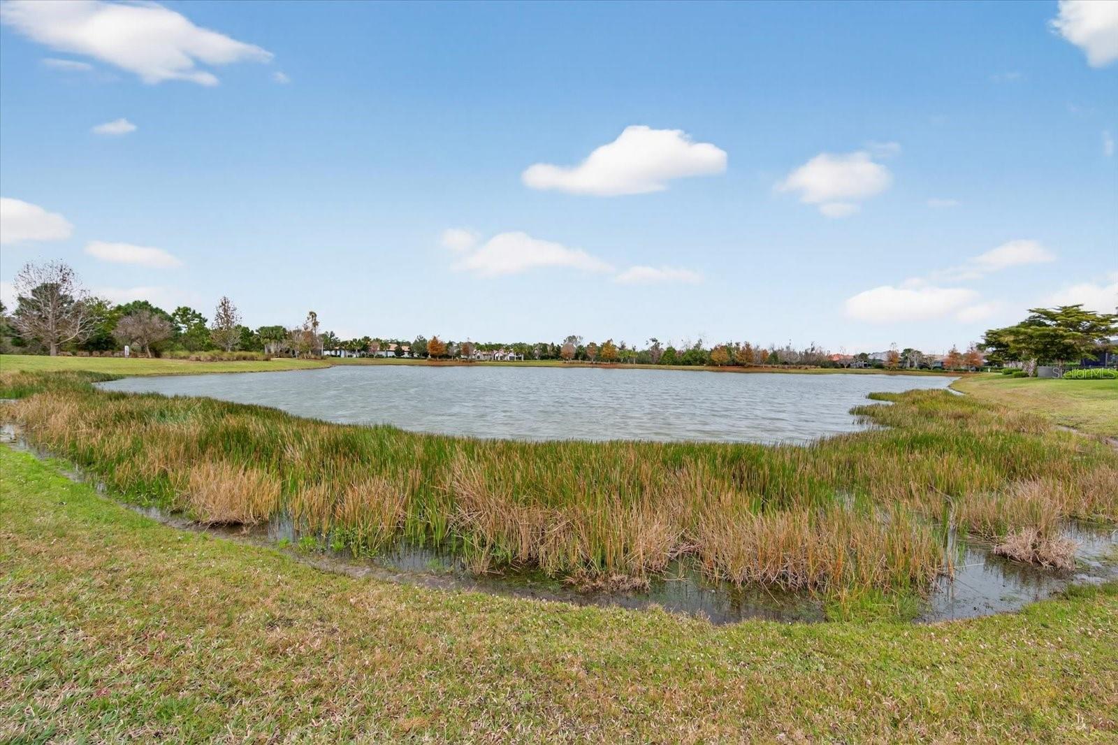 Image 47 of 96 For 16915 Loudon Place