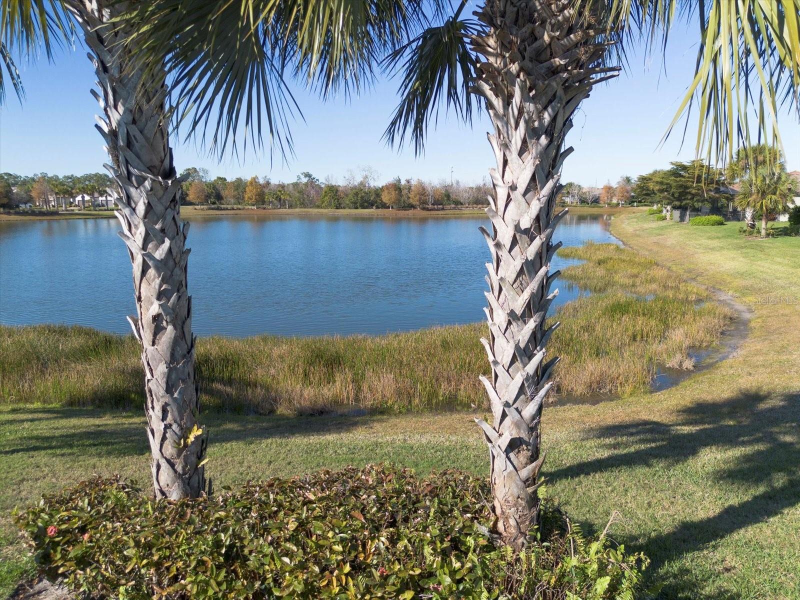 Image 53 of 96 For 16915 Loudon Place