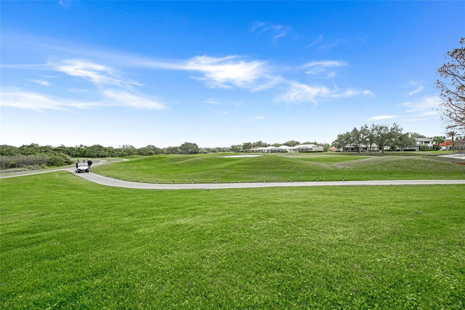 Image 51 of 68 For 8489 Eagle Preserve Way