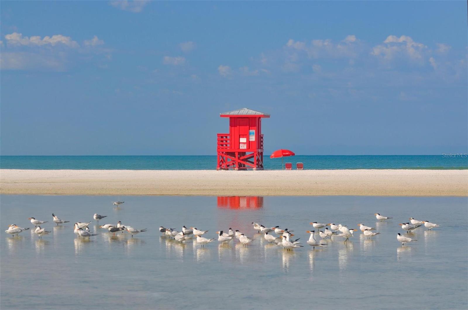 Image 68 of 75 For 6157 Midnight Pass Road B12