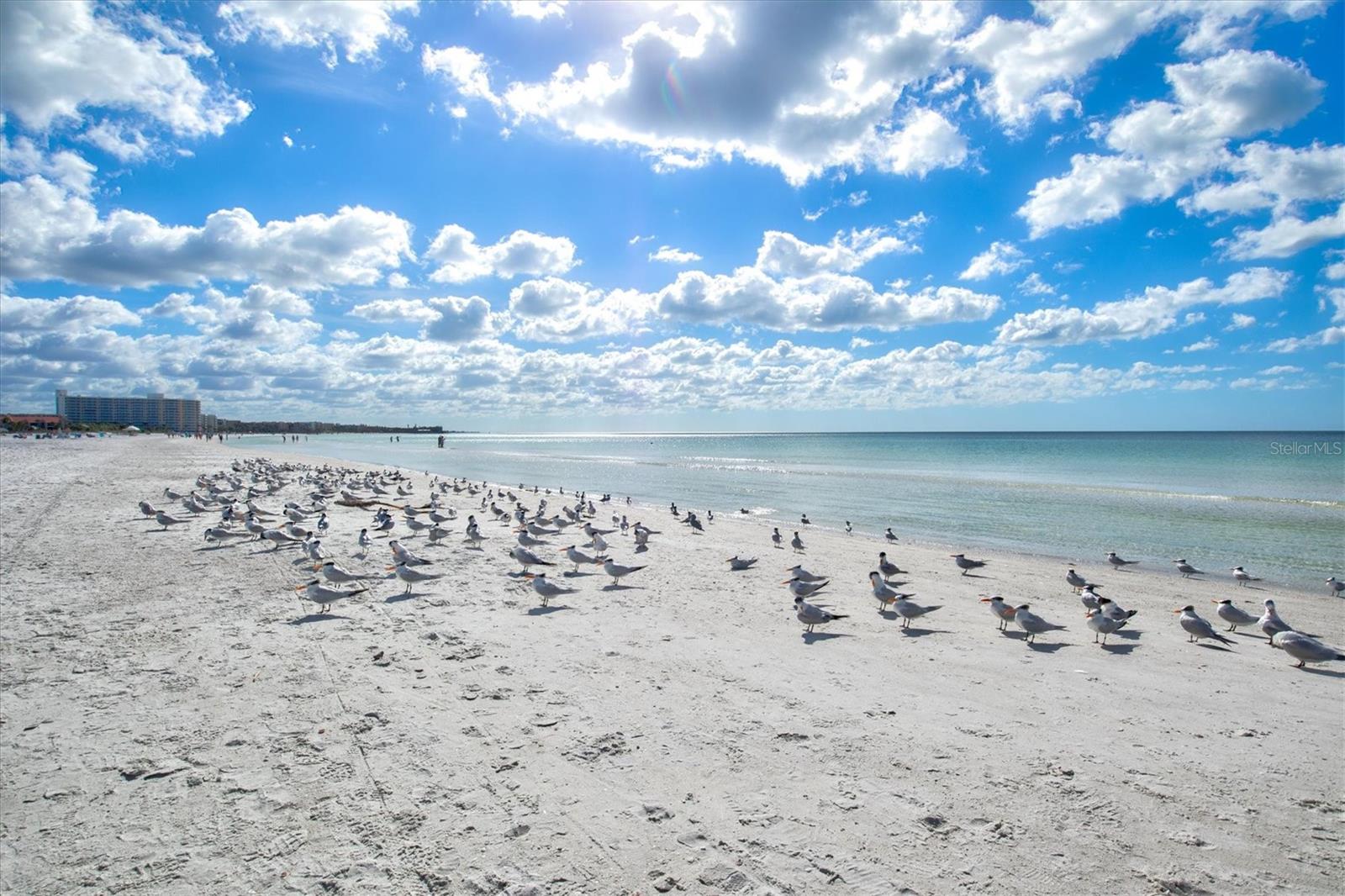 Image 29 of 66 For 6006 Midnight Pass Road 44