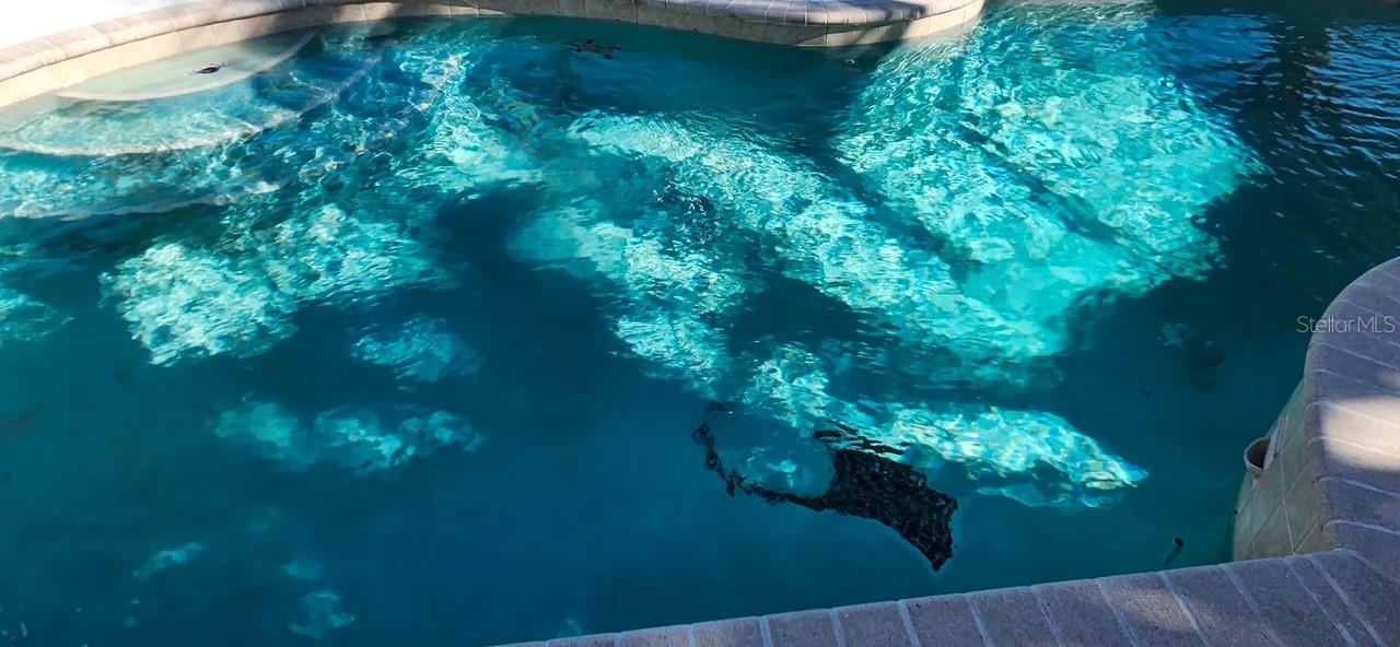 Image 62 of 72 For 5319 Bimini Drive