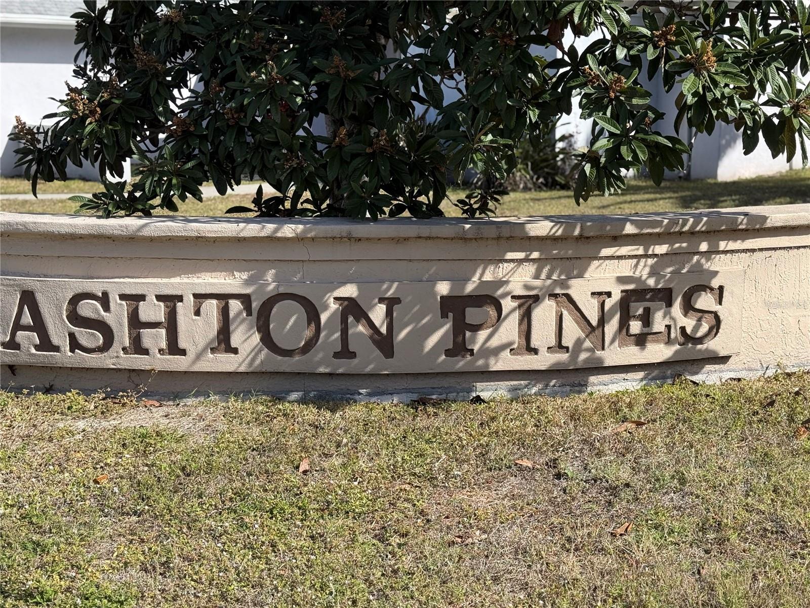 Image 11 of 28 For 5295 Ashton Pines Lane