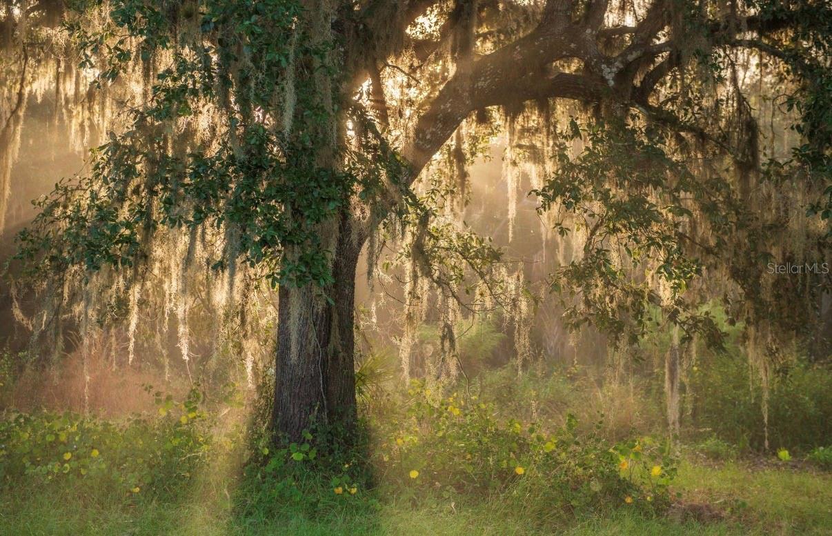 Image 10 of 36 For 1061 Harris Road