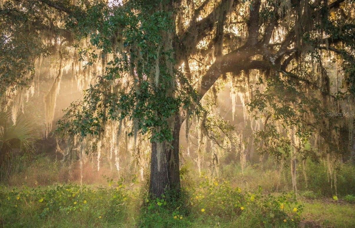 Image 11 of 36 For 1061 Harris Road