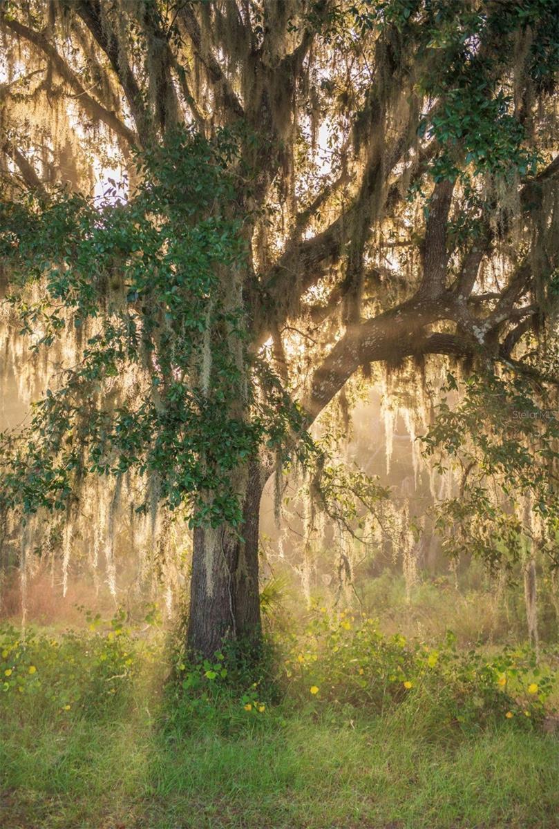 Image 12 of 36 For 1061 Harris Road