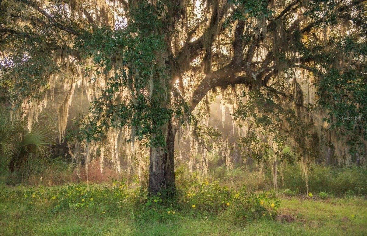 Image 13 of 36 For 1061 Harris Road