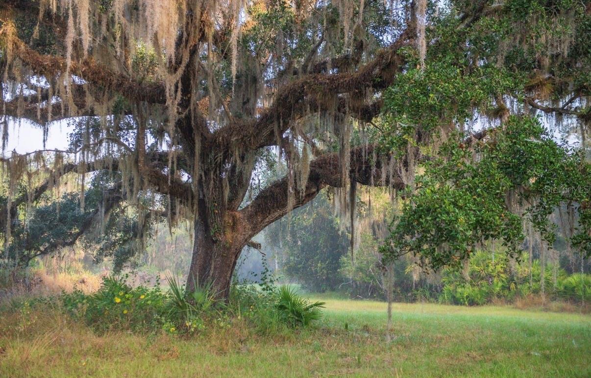 Image 14 of 36 For 1061 Harris Road