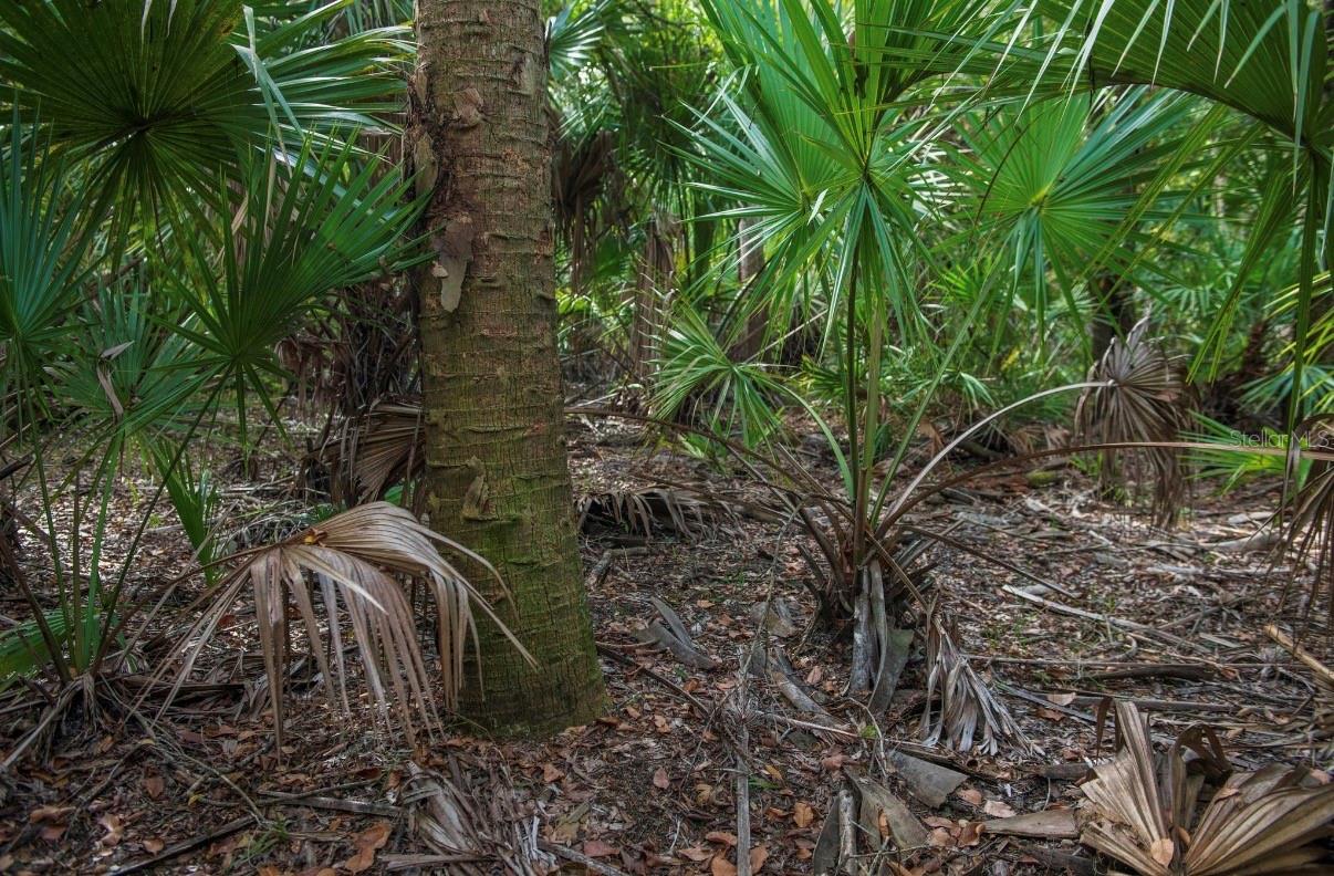 Image 17 of 36 For 1061 Harris Road