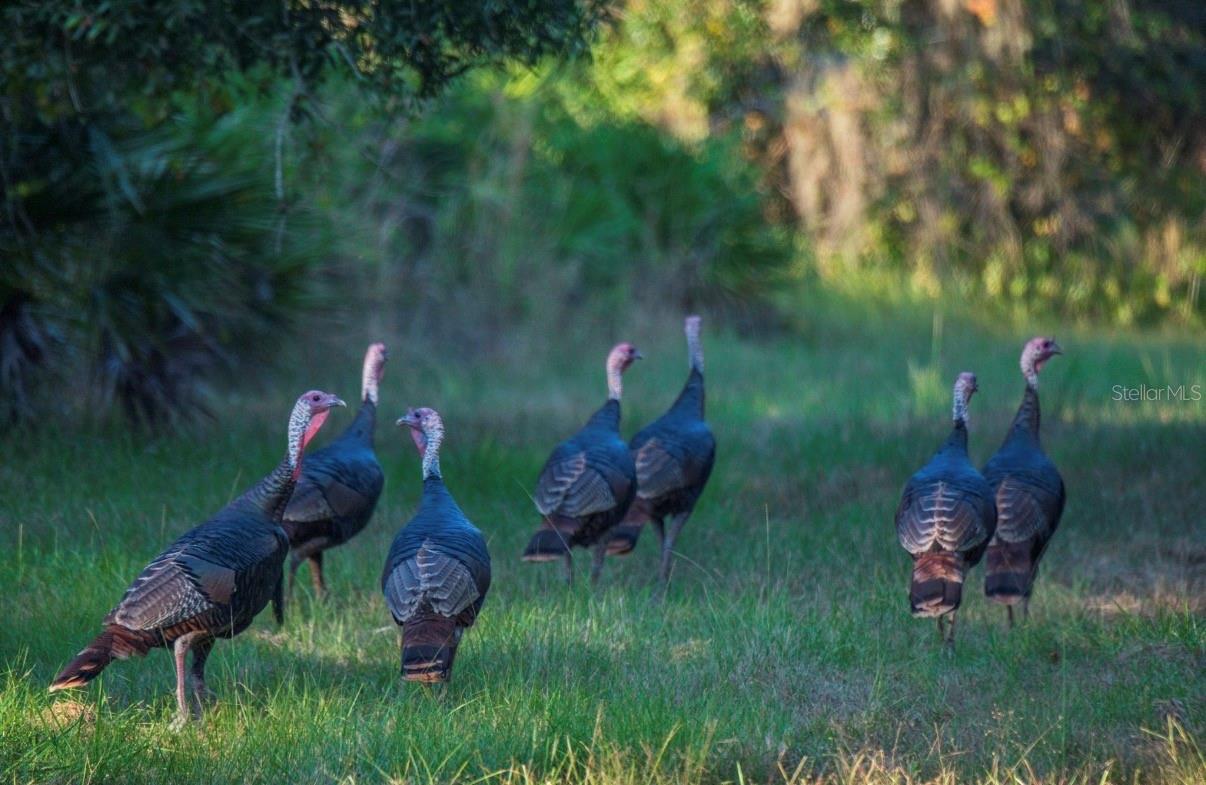 Image 18 of 36 For 1061 Harris Road