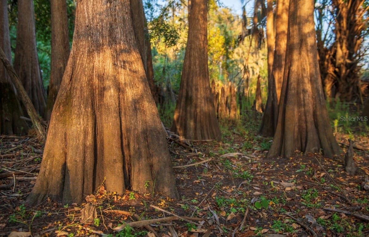 Image 21 of 36 For 1061 Harris Road