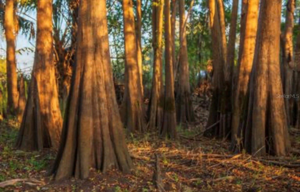 Image 22 of 36 For 1061 Harris Road