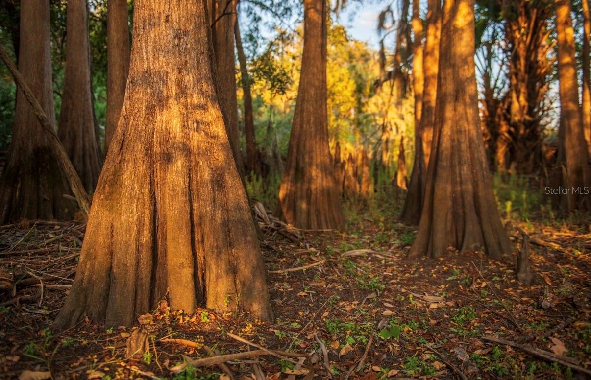 Image 23 of 36 For 1061 Harris Road